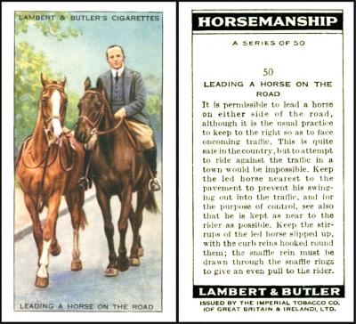 Lambert & Butler Horsemanship