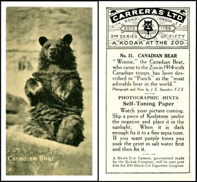   C151-330 [tobacco : UK] Carreras "A Kodak at the Zoo 2nd Series of Fifty" (Jan 1925) 11/50 