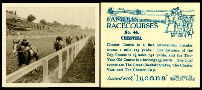 Sandorides "Famous Racecourses"