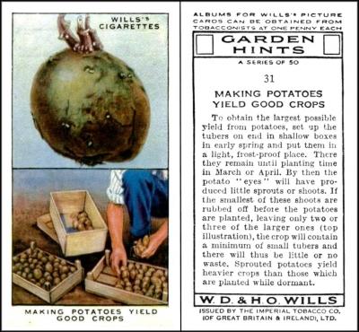 W675-180.A : W62-142.A: W/226 [tobacco : UK] W.D. & H.O. Wills "Garden Hints" (January 1938) 31/50