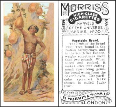 M884-150 : M142-12 : H.281 [tobacco : UK] B. Morris “Marvels of the Universe Series” (1912) 20/25