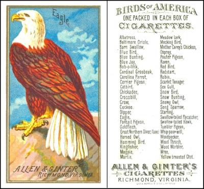 A400-040a : A36-4a : USA/4 :  [tobacco: UK] Allen & Ginter "Birds of America" Bk/50