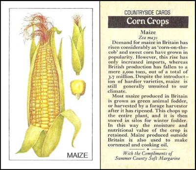 Summer County Margarine "Countryside Cards"