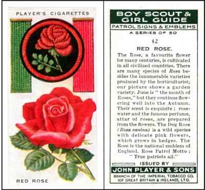 player boy scout & Girl Guide