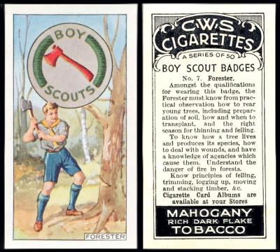 C.W.S. "Boy Scout Badges"