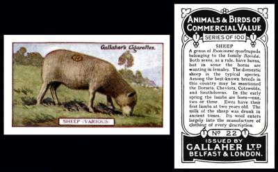 Gallaher "Animals and Birds of Commercial Value"