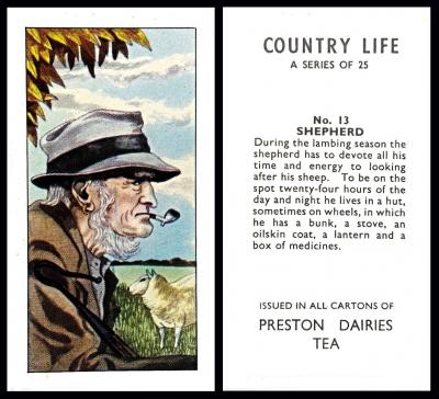 Preston Dairies Tea "Country Life"