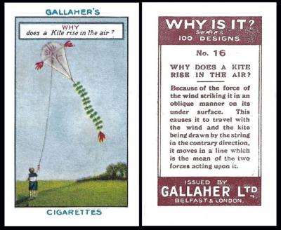 Gallaher  "Why Is It"