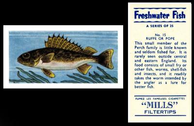 Amalgamated Tobacco Mills brand "Freshwater Fish"