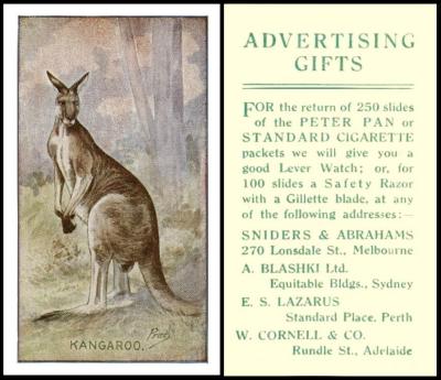 Sniders & Abrahams kangaroo