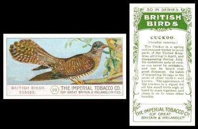 Imperial Tobacco British Birds