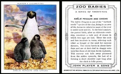 John Player Zoo Babies