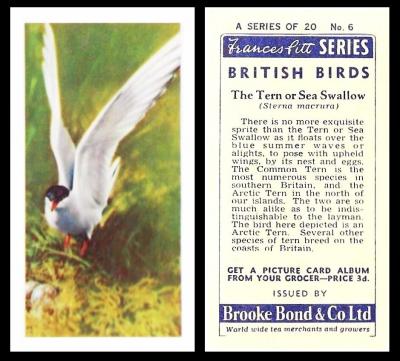 Brooke Bond British Birds