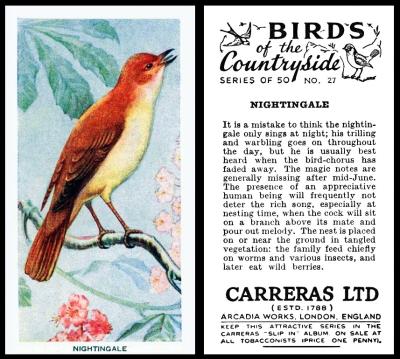 Carreras Birds of the Countryside