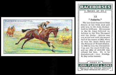 player racehorses