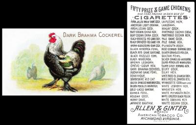 Allen Ginter Prize Game Chickens