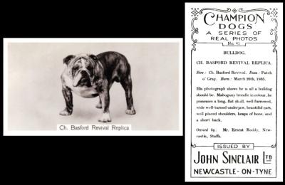 Sinclair Champion Dogs standard