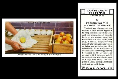 Wills Garden hints no ITC