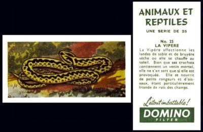 BAT Domino Animaux et Reptiles