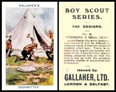 Gallaher Boy Scout Series