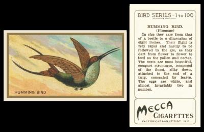 American Tobacco Mecca Bird Series