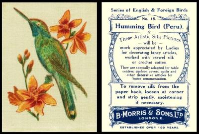 Morris English Foreign Birds