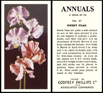 Godfrey Phillips Annuals