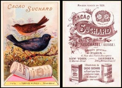 Suchard oiseaux