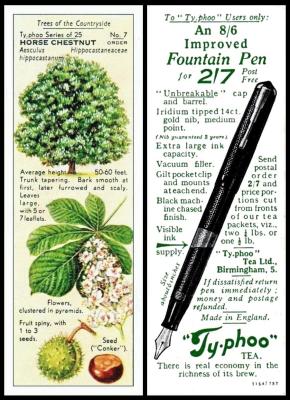 typhoo trees of the countryside