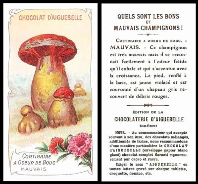 aiguebelle bons et mauvais champignons