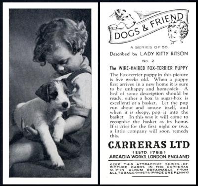 Carreras Dogs and Friend
