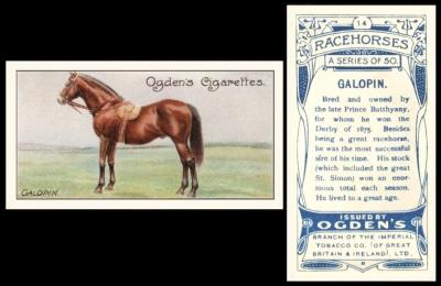 ogden racehorses 1907