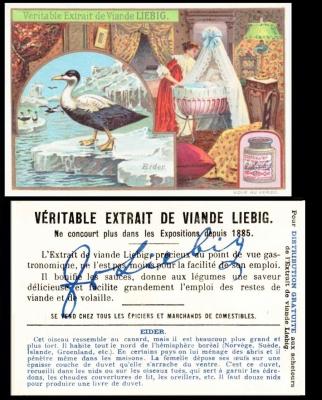 liebig ducks