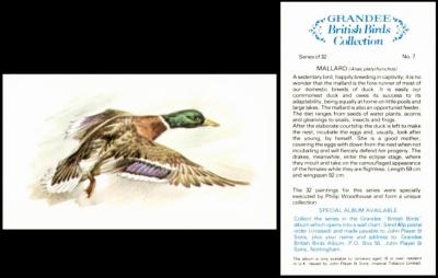 Player Grandee Brit Birds