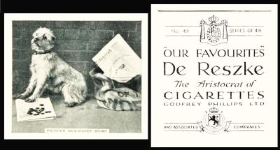 phillips our favourites