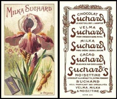 Suchard 224