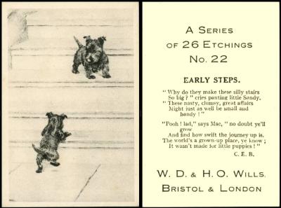 Wills Etchings medium