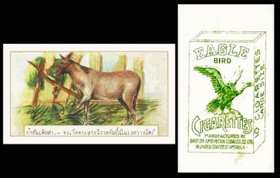 BAT Eagle Bird AnimalsBirds