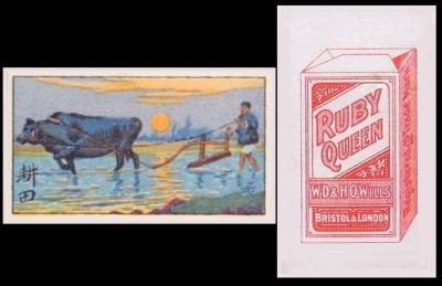 Wills Ruby Queen Chinese Transport