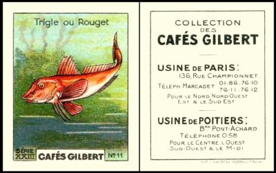 Cafe Gilbert Poisson S23