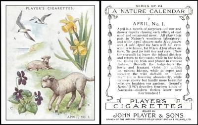 Player A Nature Calendar