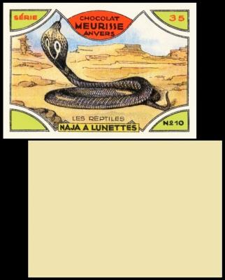 Meurisse Les Reptiles