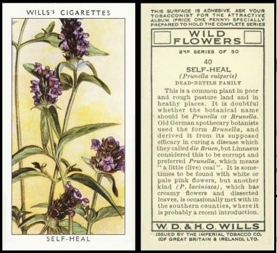 Wills Wild Flowers 2nd