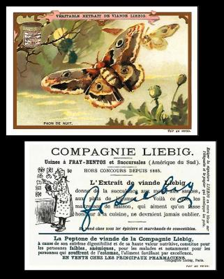 liebig Papillons 1897