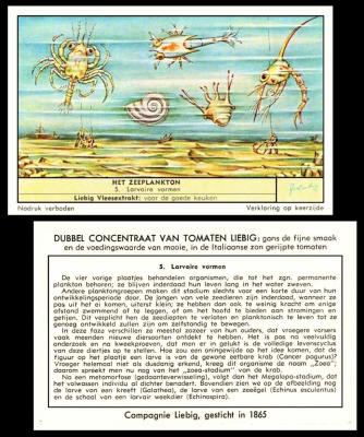 Liebig Het Zeeplankton