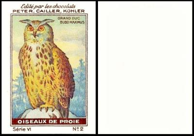 PCK Oiseaux de Proi