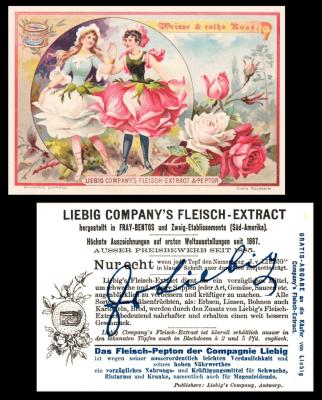 liebig Fleurs