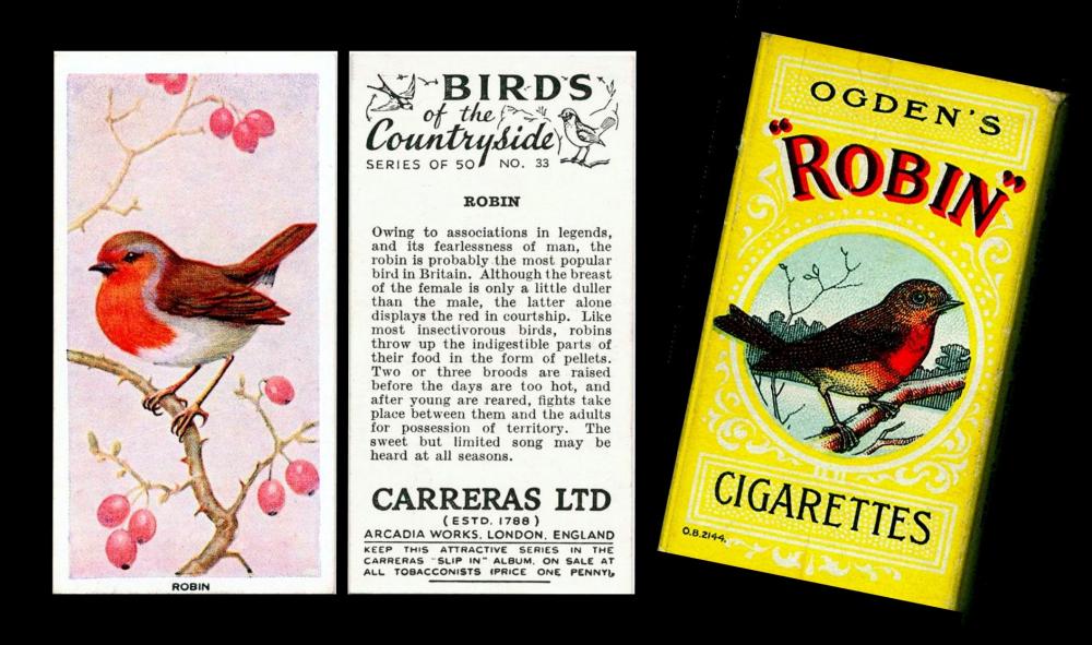 carreras birds countryside