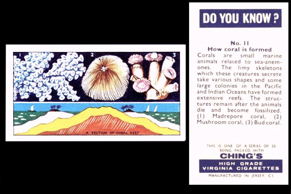 Ching "Do You Know"