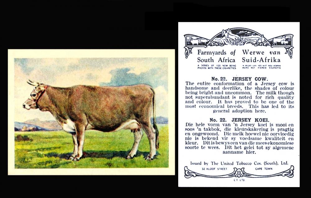 UTC Farmyard